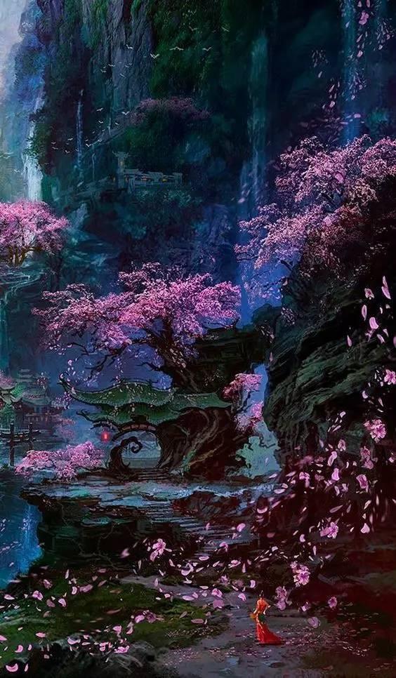理财专员