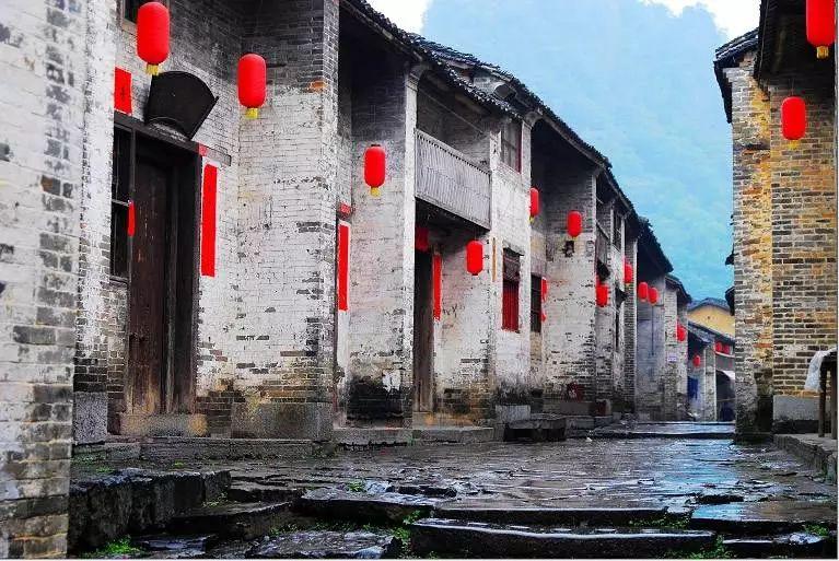 解惑蜗牛,问答平台怎么才能彻底忘记一个人?